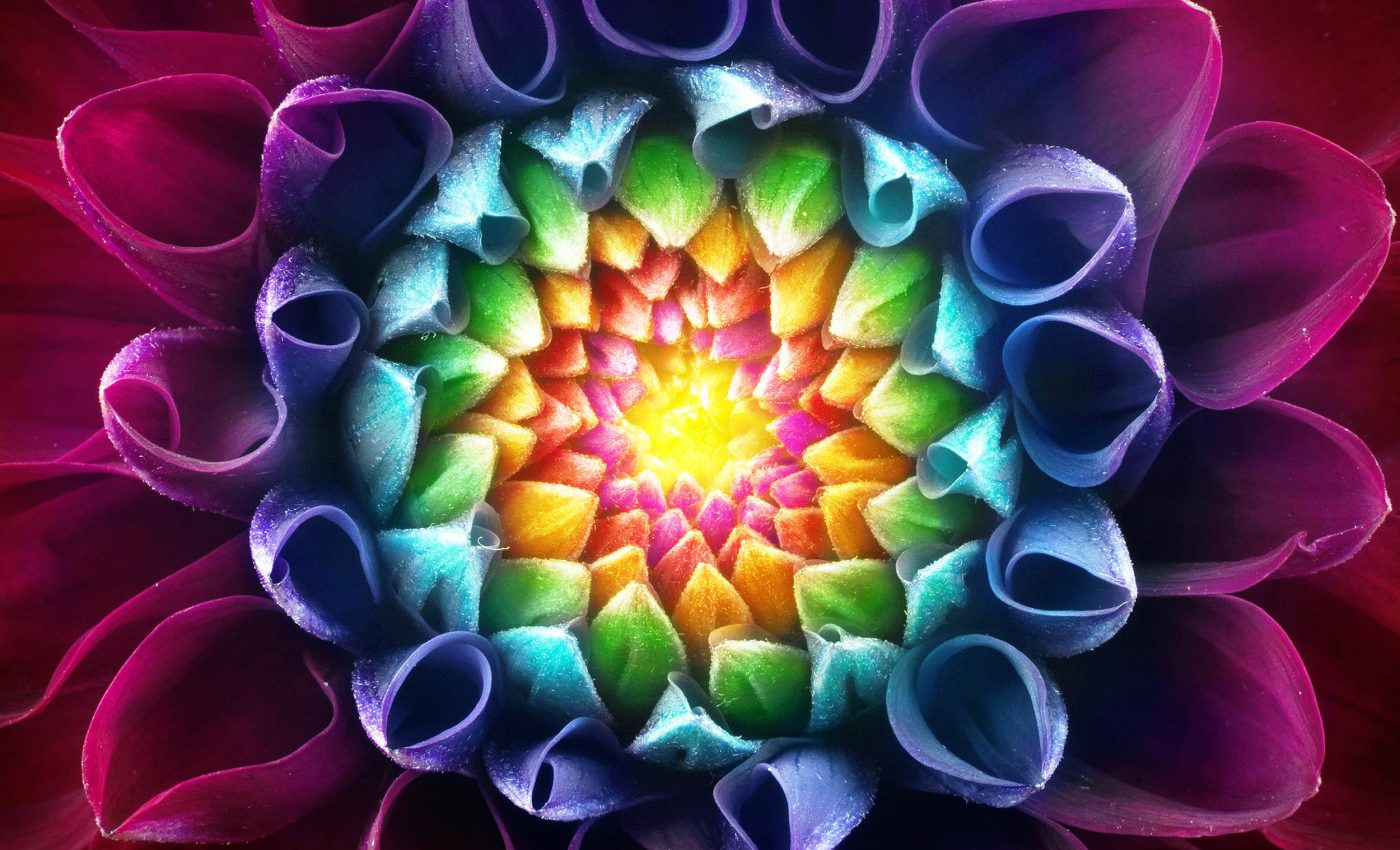 Quantum fractal pattern predicted 50 years ago observed in the lab