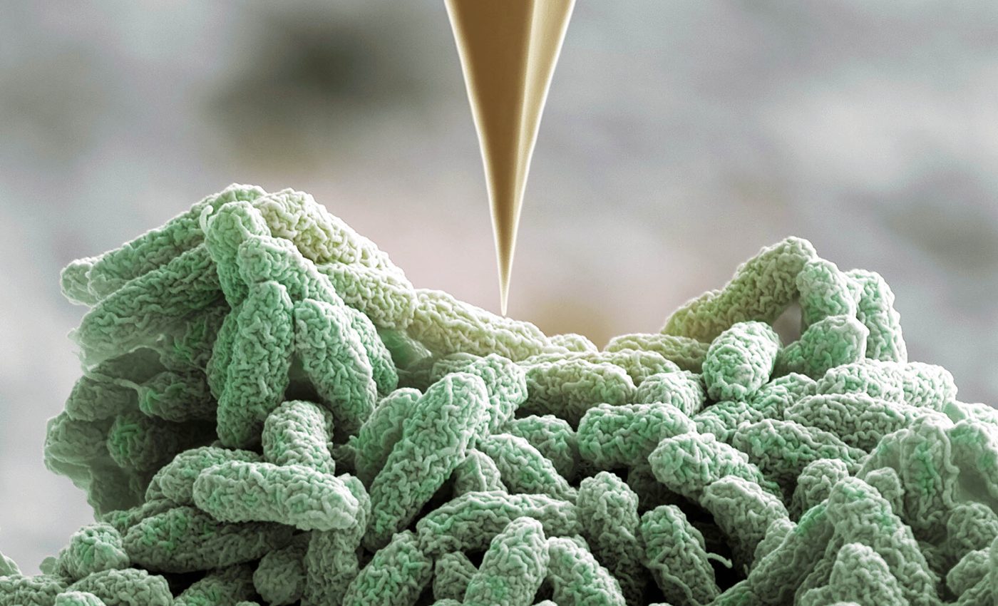 Bacteria build tiny 'nano-spearguns' to fight back against attacks