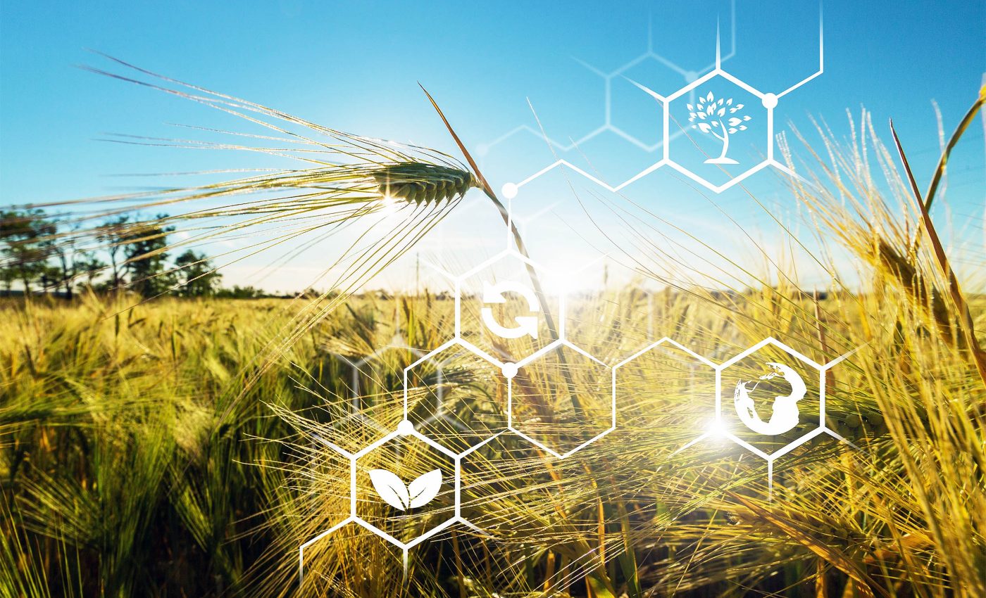 Sounding the alarm: Microplastics are disrupting  photosynthesis around the world