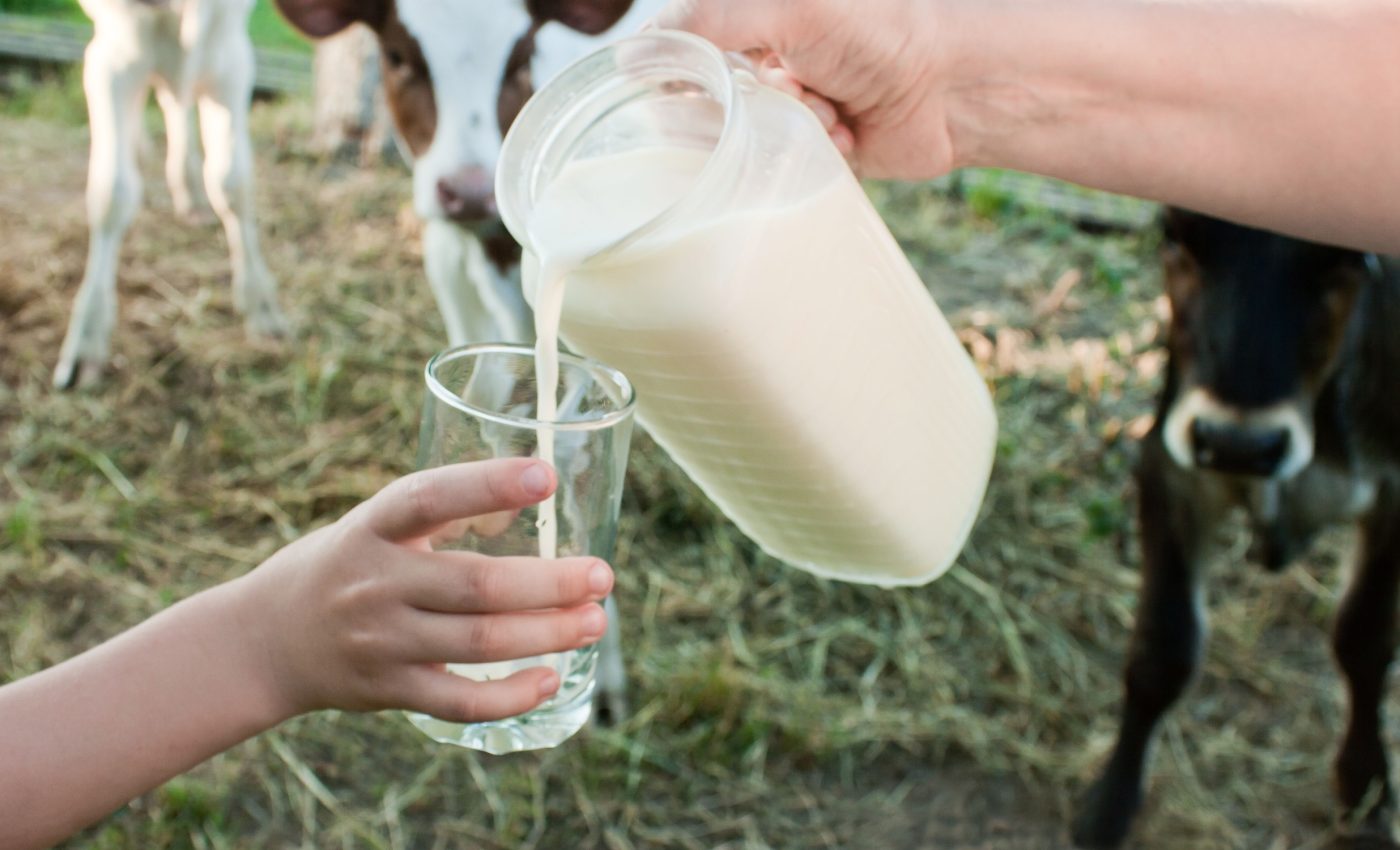 Most Americans don't know the dangers of raw milk and bird flu