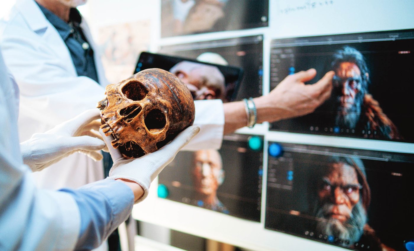 "Mystery ancestors" gave humans 20% of our current DNA, but who were they?