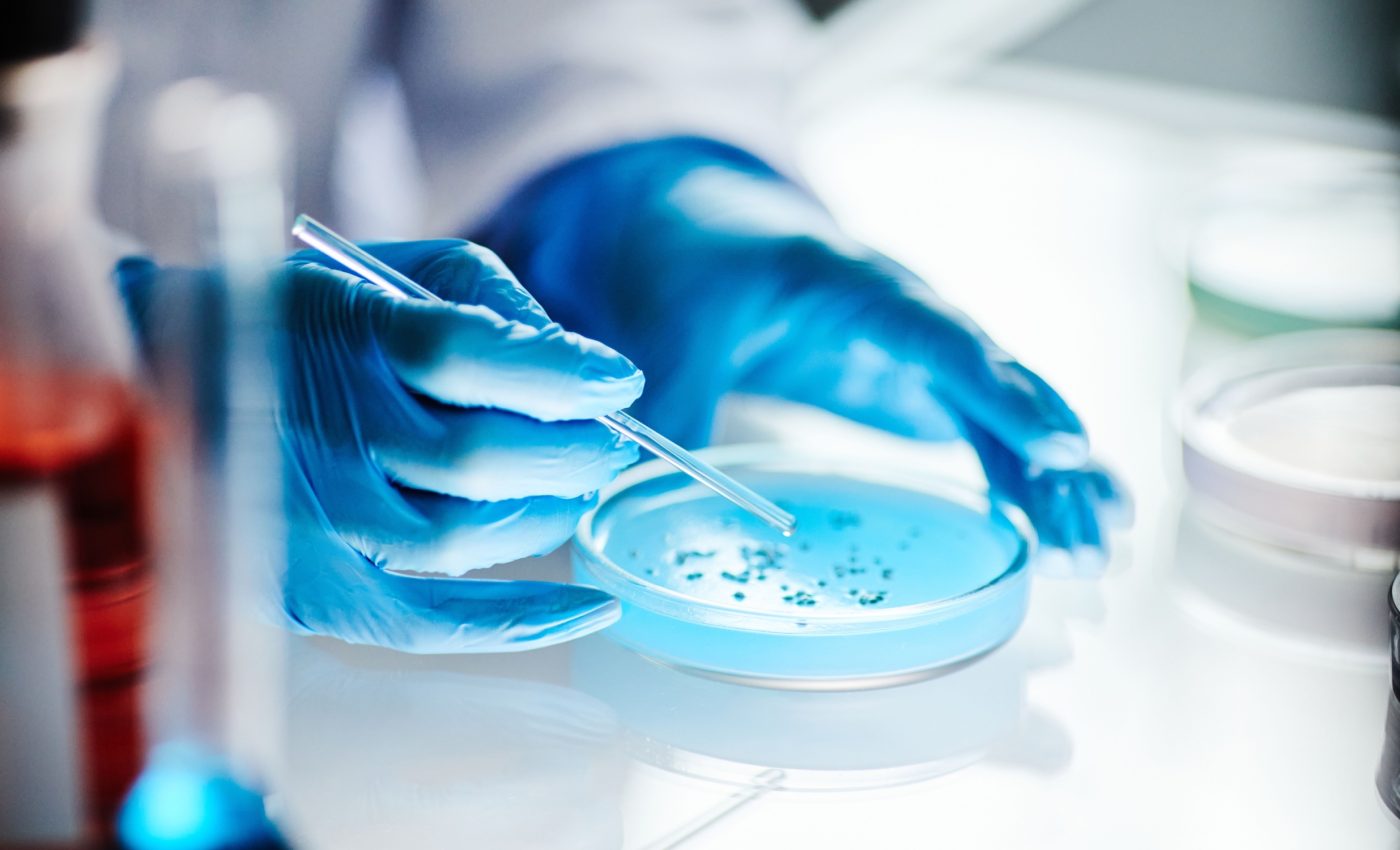 Heart cells grown in space may help heal damaged hearts