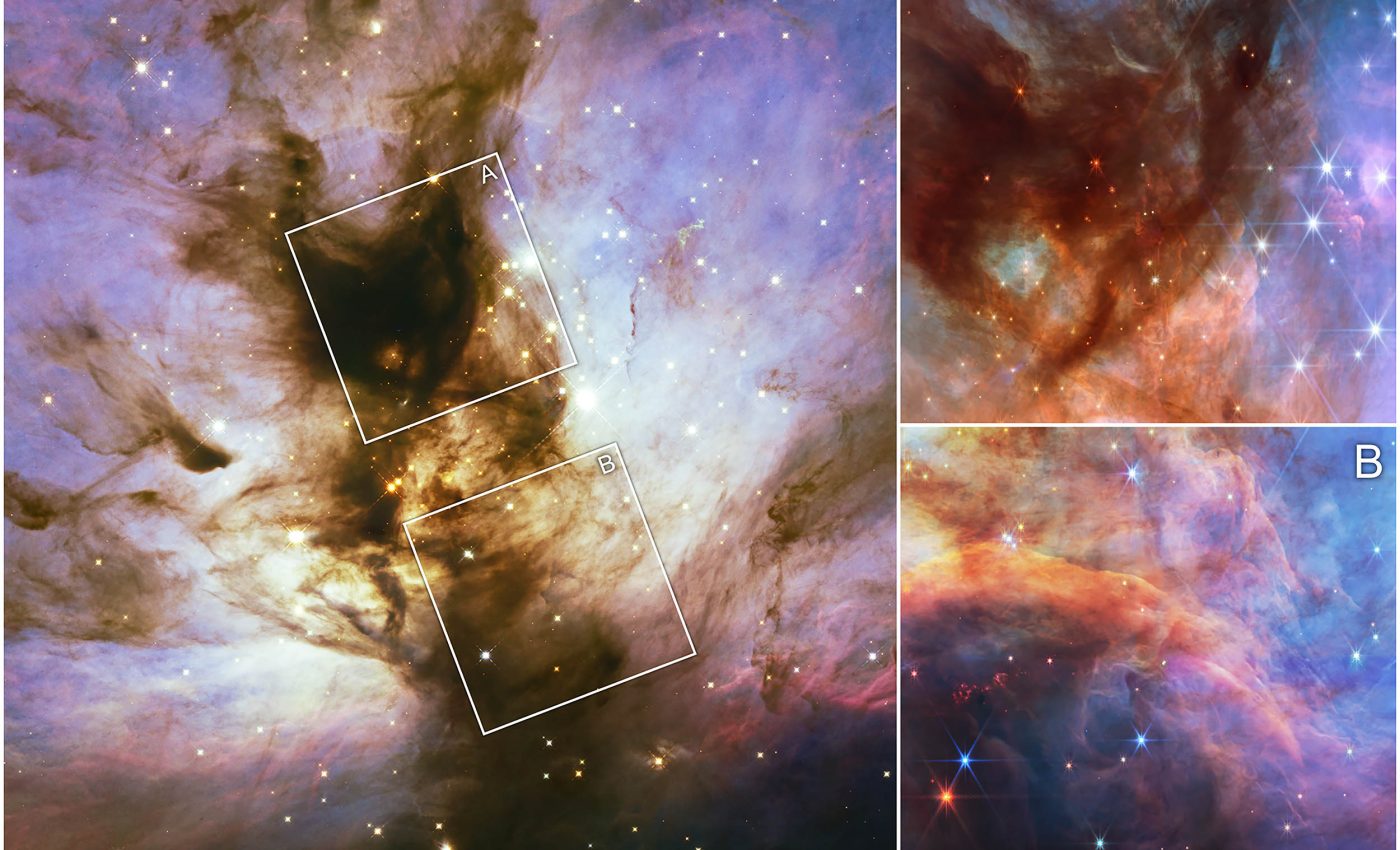 Tiny brown dwarfs discovered inside the Flame Nebula