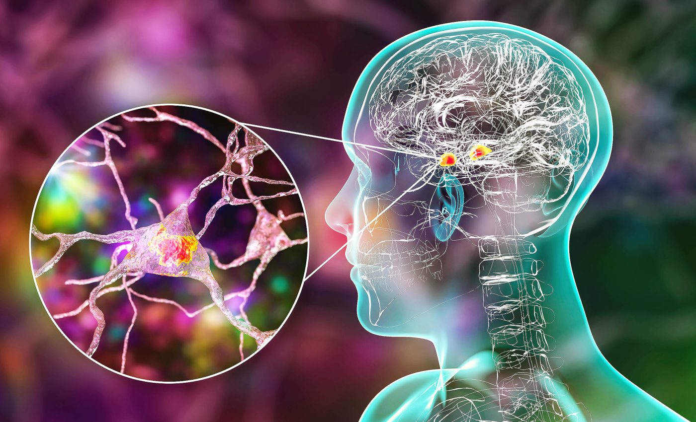How our brains tell us when we need to eat or drink