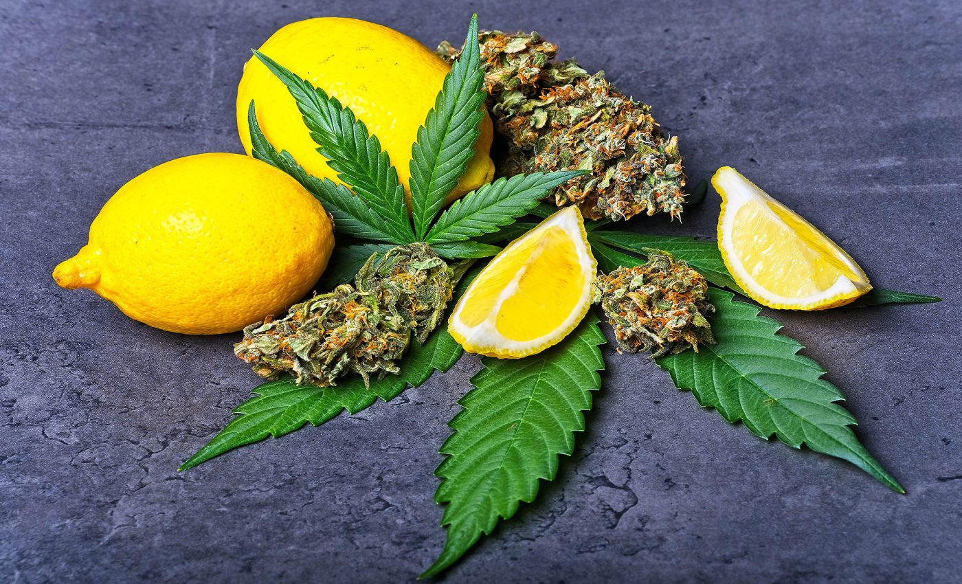Common essential oil proven to reduce cannabis-related anxiety and paranoia