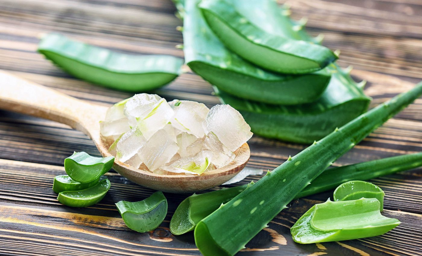 Wonder plant: This natural insect repellent also has anti-aging properties