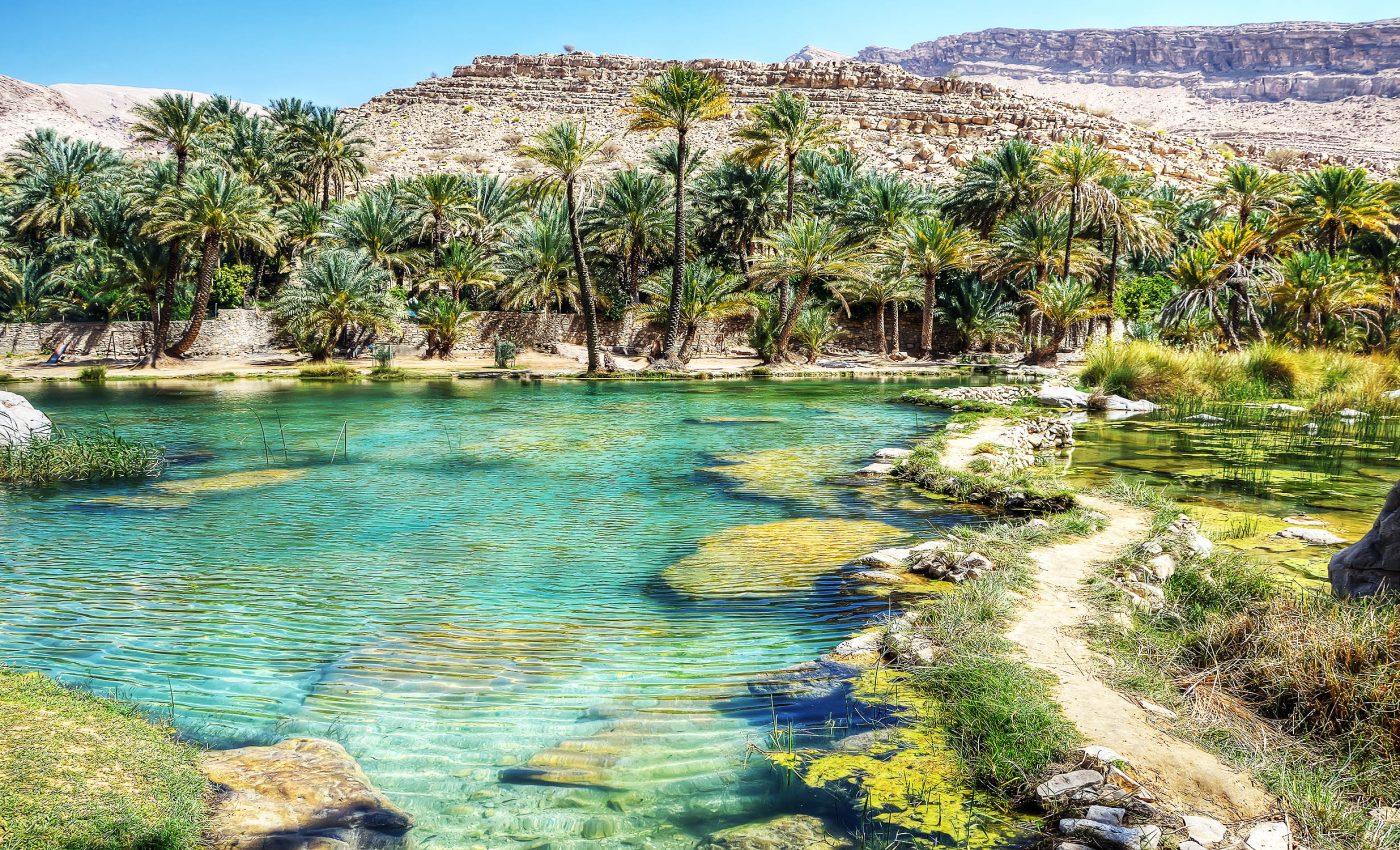 Ancient Arabia was once green and lush with rivers, lakes, and grasslands