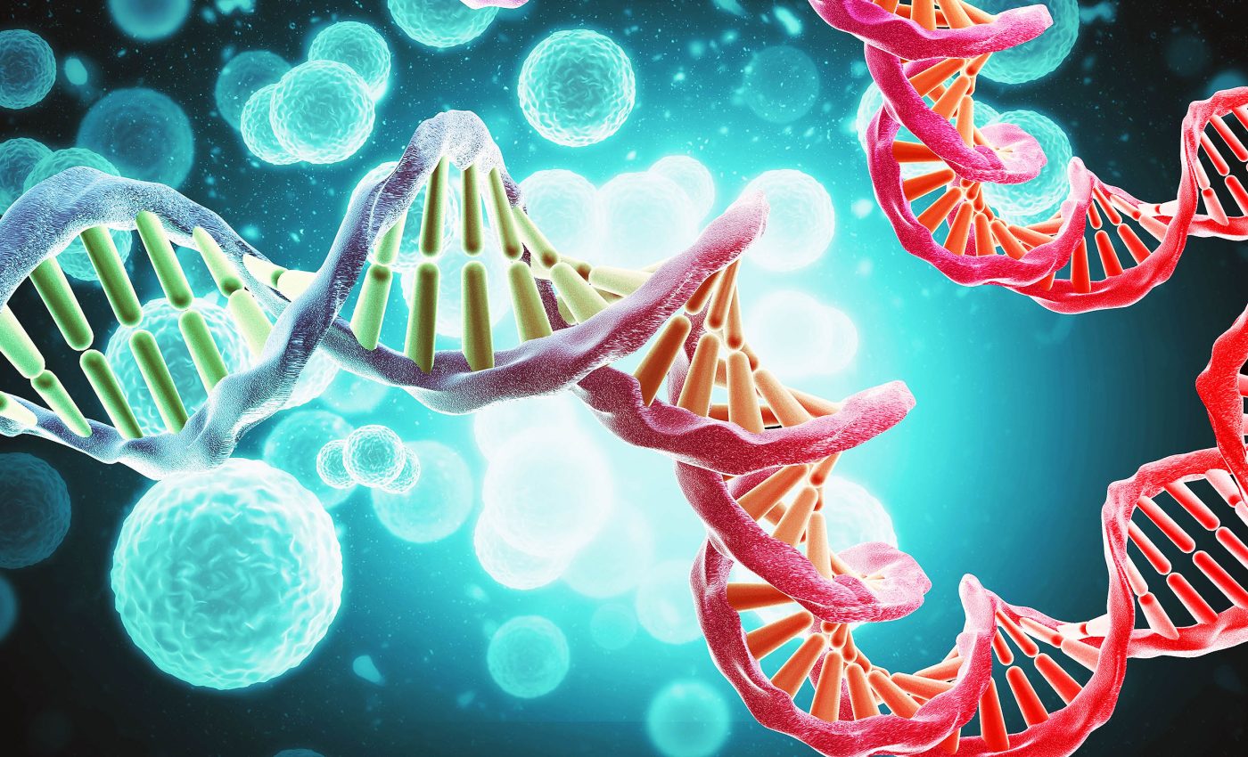 Everyday DNA damage requires constant repair, and now we know how the body fixes it
