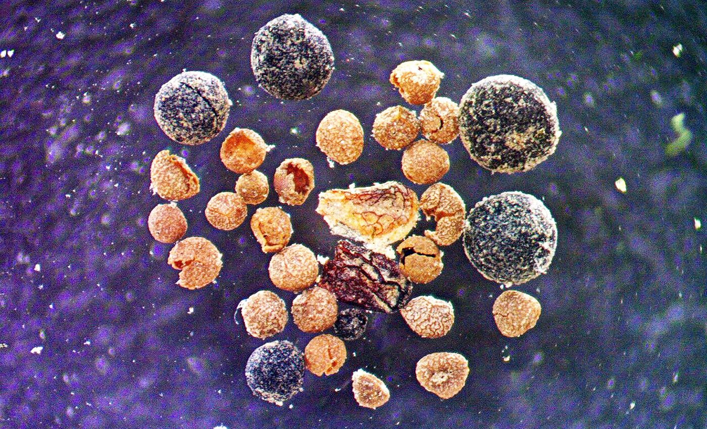 Greenland ice discovery stuns and worries scientists: "Don't buy a beach house"