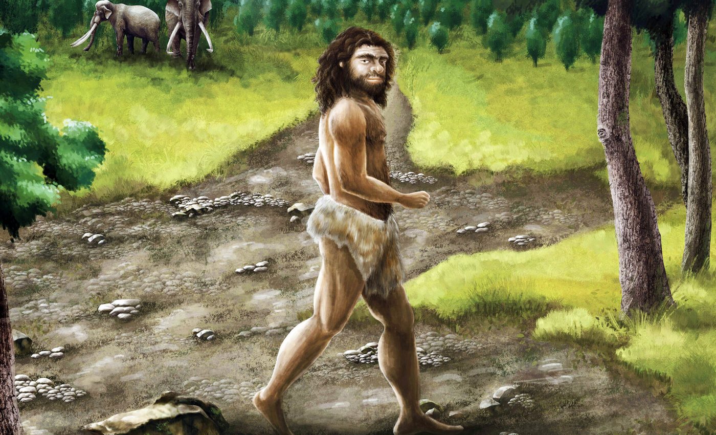 Jawbone discovery adds to the mystery of our Denisovan ancestors