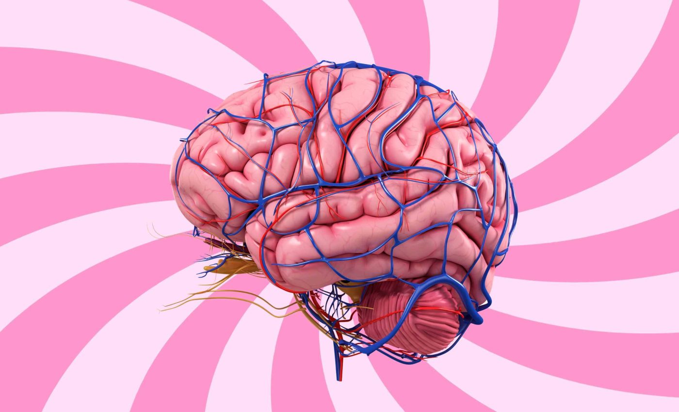 The brain reacts more strongly to potential harm than to potential relief