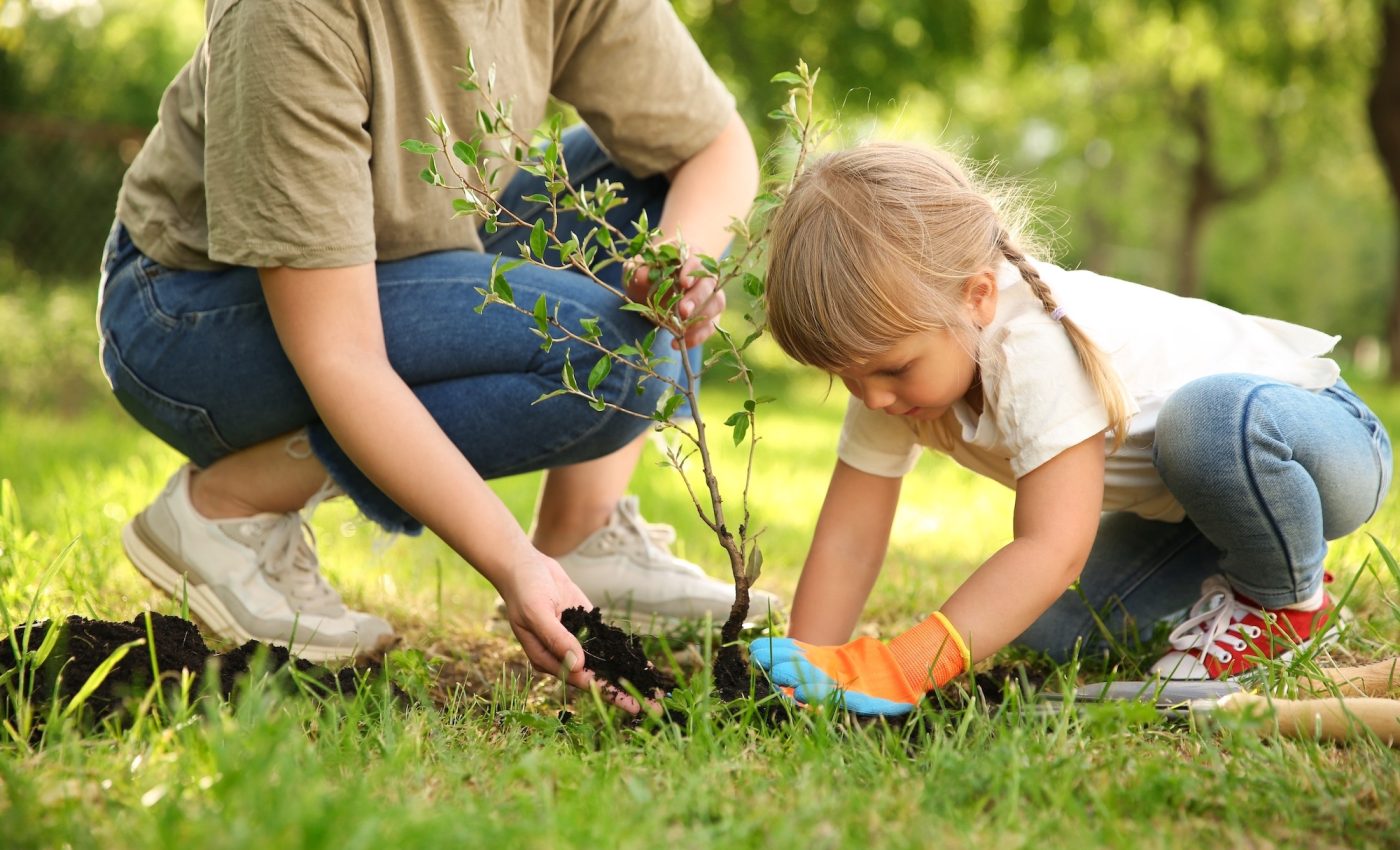 Planting new trees brings hope for healthier babies