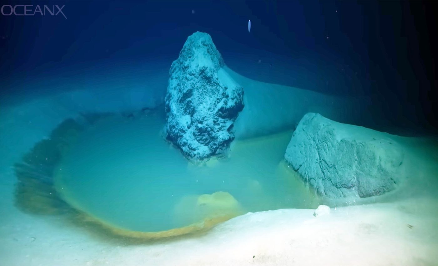 'Extreme life' that shouldn’t exist discovered at the very bottom of the Red Sea