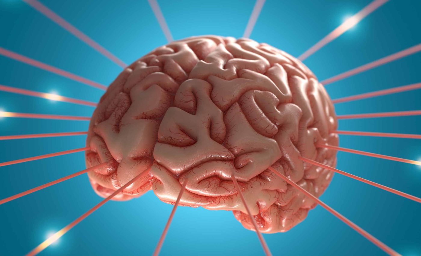 The 17 best strategies to protect your brain from stroke, dementia, and depression, according to science