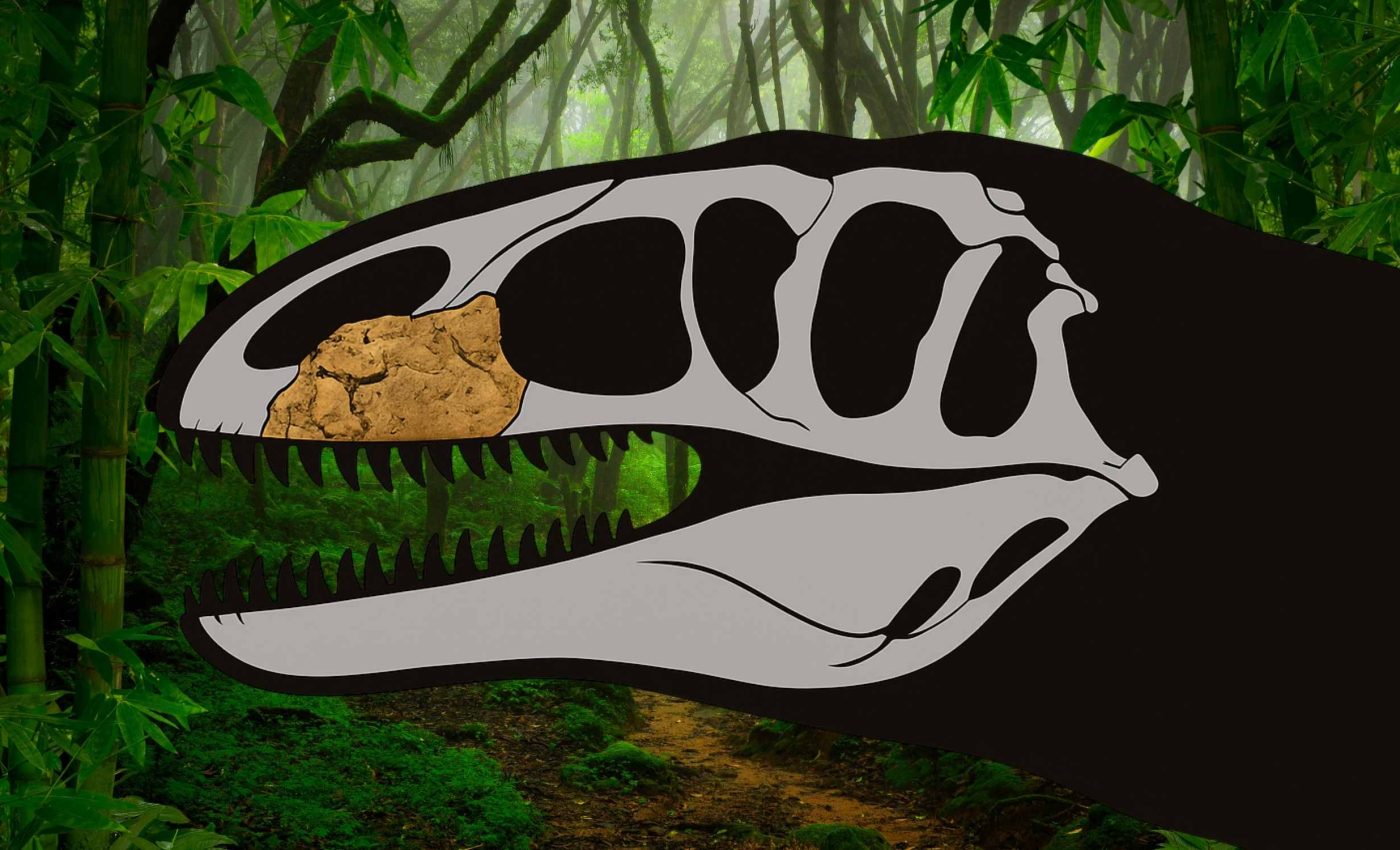 With teeth like knives, this giant kept the young tyrannosaurs at bay