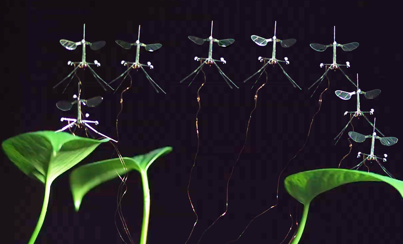 RoboBee: Mimicking nature with microrobots
