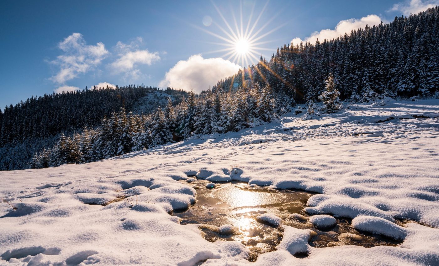 Snow droughts could quadruple by 2100, harming water supplies