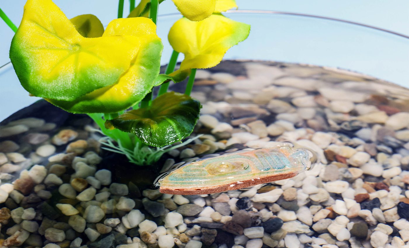 New boat-shaped robot mimics insects and is made of fish food