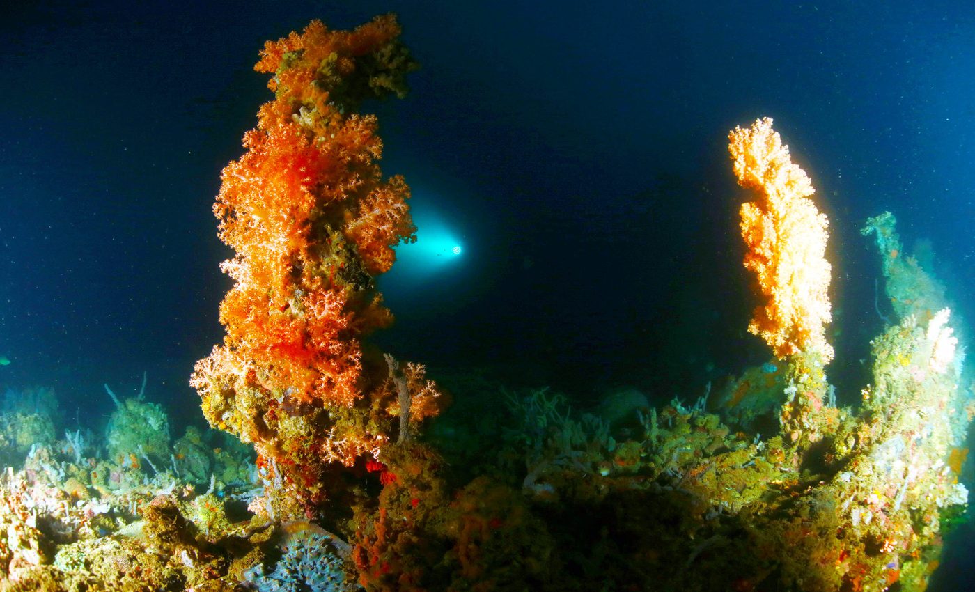 Only .001 percent of Earth's deep seafloor has ever been directly observed