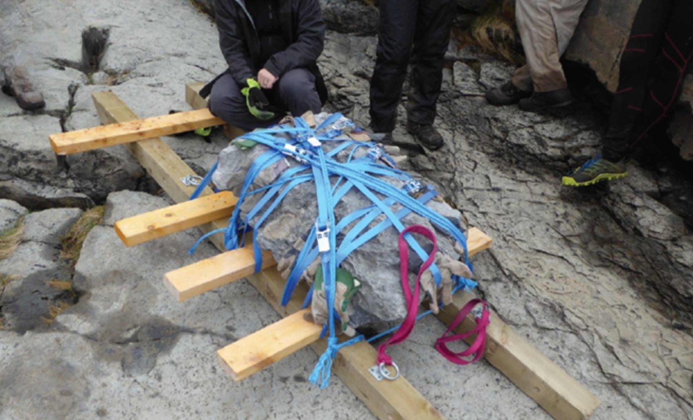 Dog-sized baby dinosaur unearthed after 166 million years