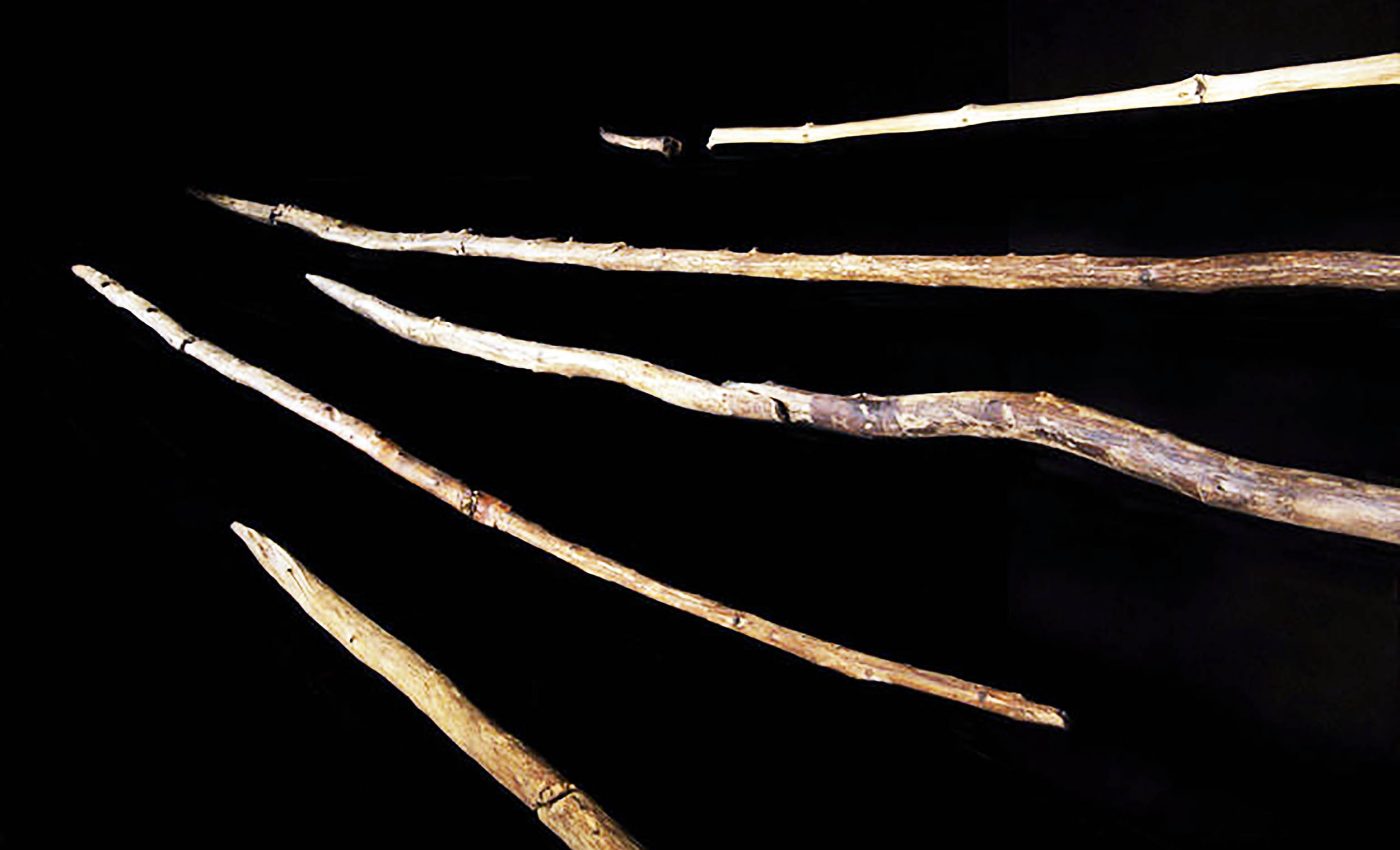 Famous wooden spears, 100,000 years older than believed, may have been used by Neanderthals