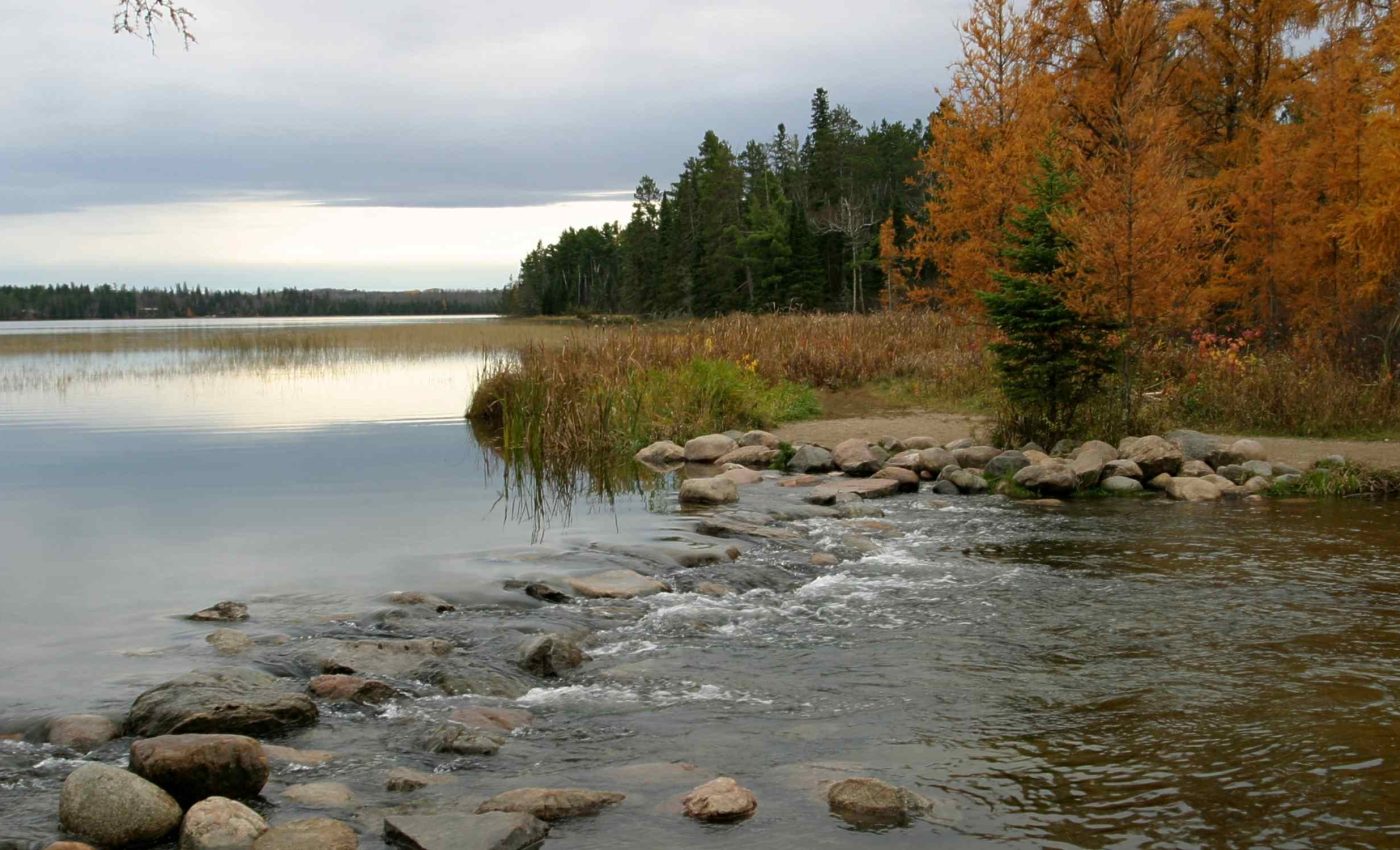 Vertebra found from giant predator that ruled Earth when Mississippi was under an ocean