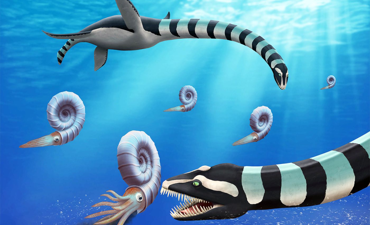 Scientists identify a 'very odd' new sea monster, unlike any previously known