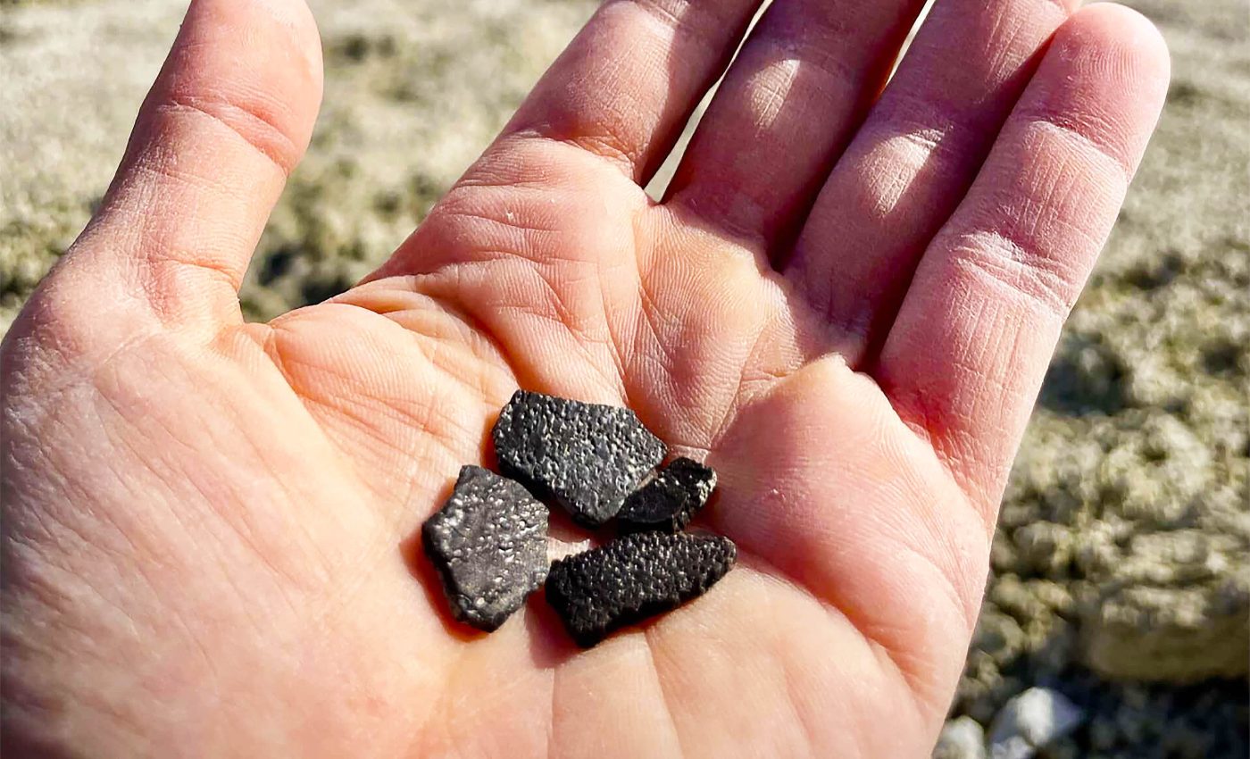 Discovery of 100-million-year-old dinosaur eggs reveals life in Jurassic America