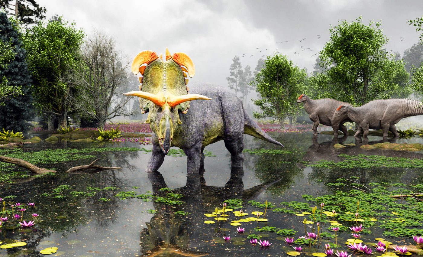 Scientists say this new horned dinosaur species is the 'largest and most ornate' of its kind ever found