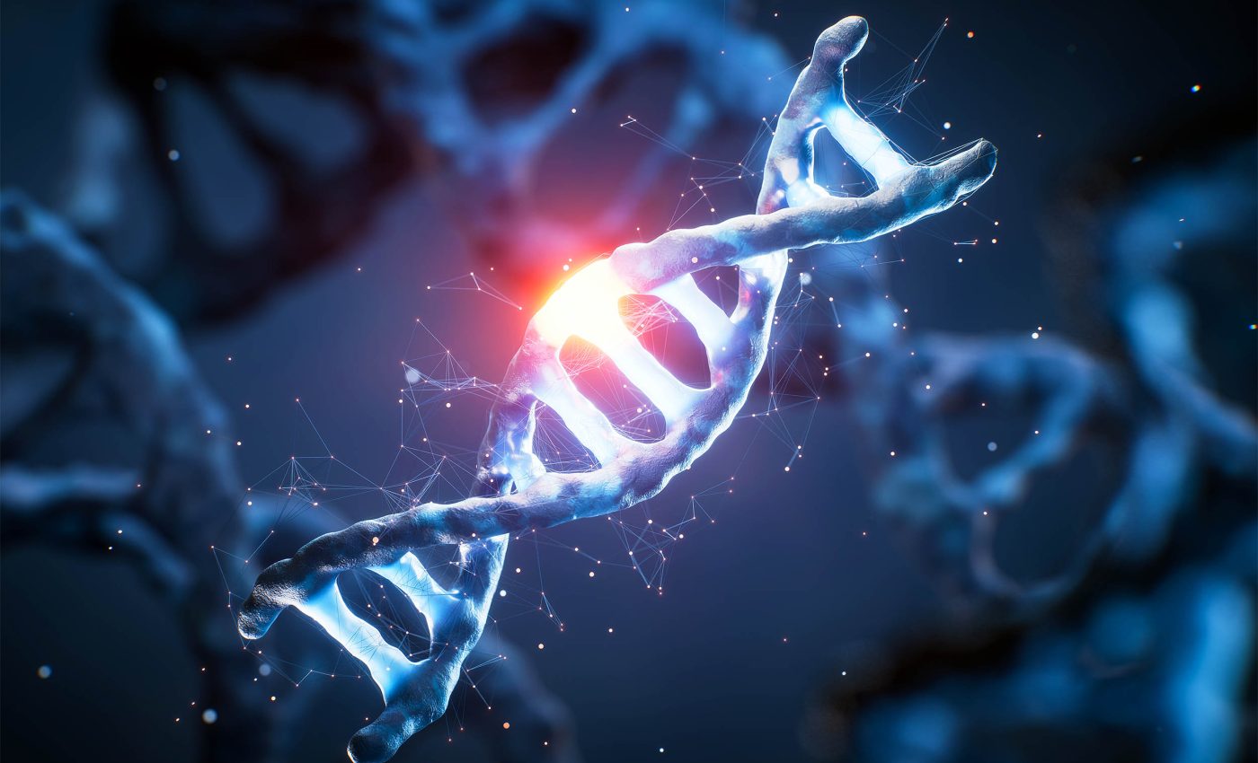 Early humans took a giant evolutionary leap when they started eating meat