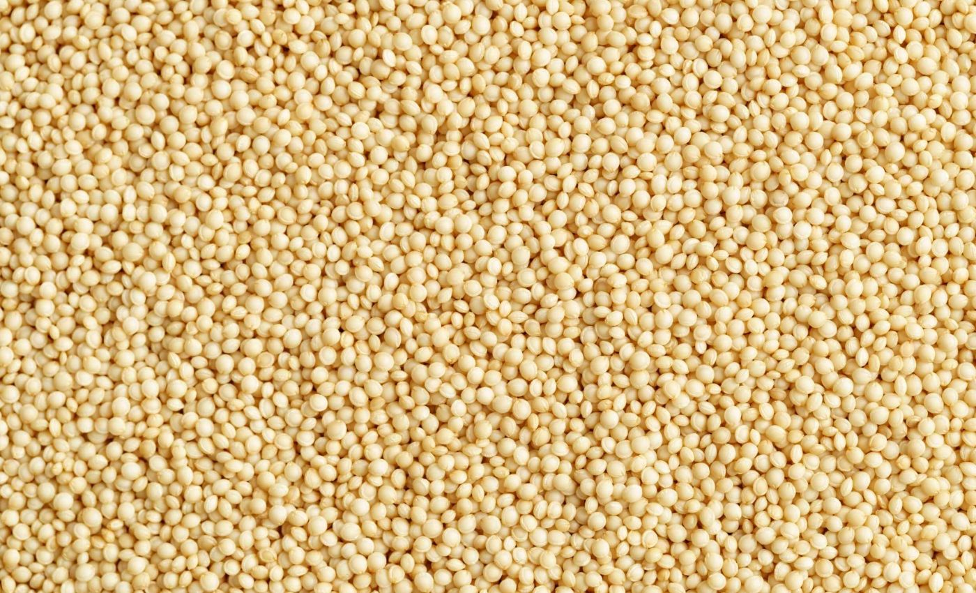 This seed, rich in calcium and iron, prevents tumors and keeps bones strong