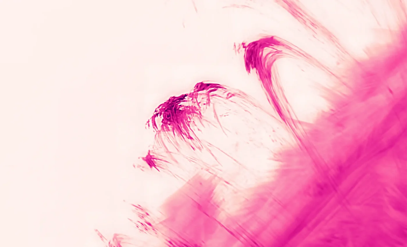 Astronomers capture high-definition details of the Sun's corona with new technology