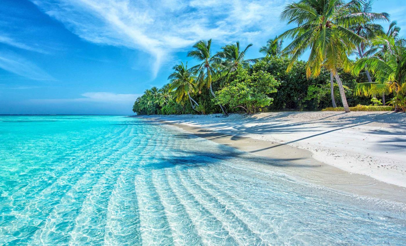 World Oceans Day 2025: Protecting the waters that sustain humanity and all life on Earth