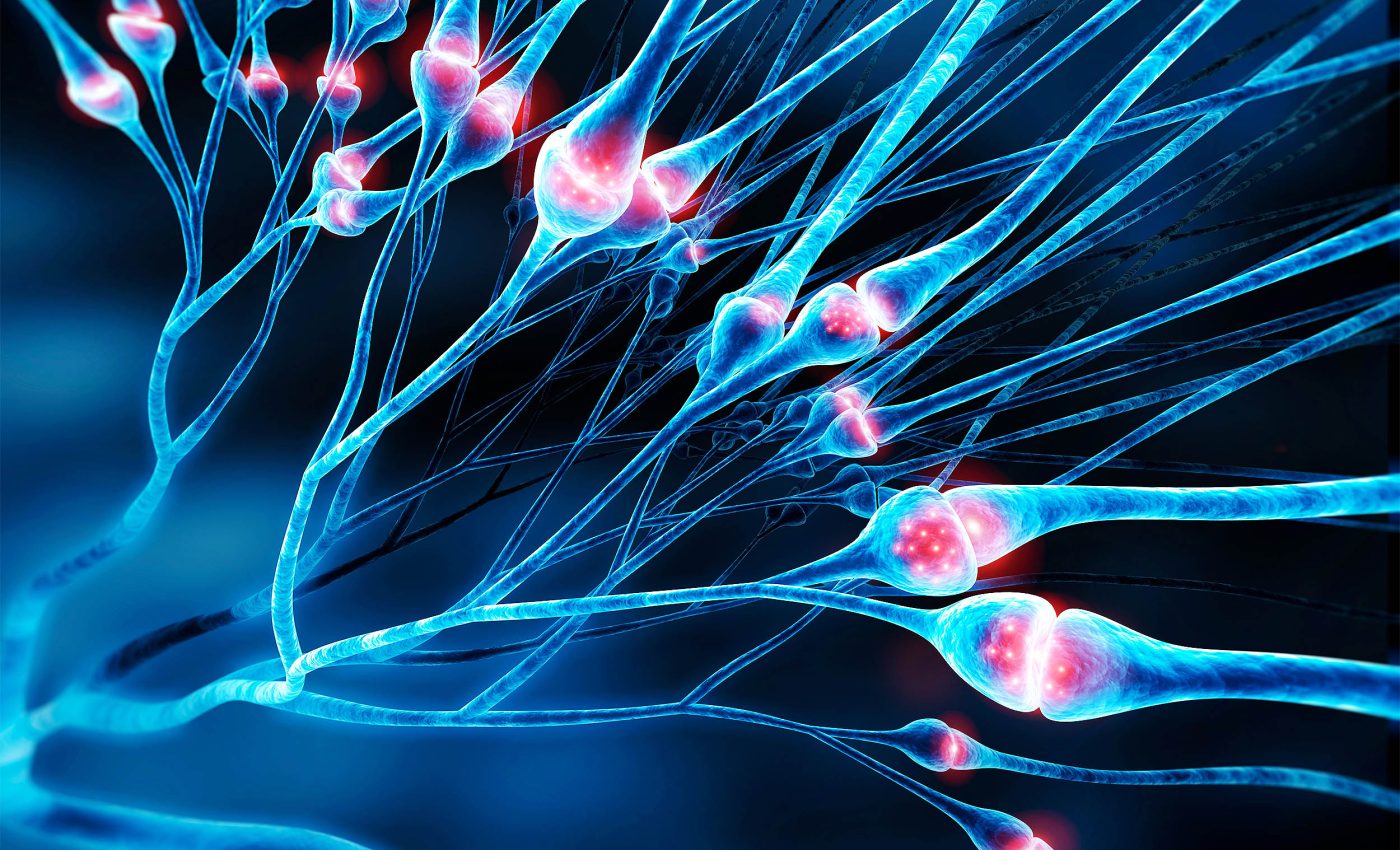 Study debunks 100-year-old understanding of what brain cells look like, disproving what we've been taught