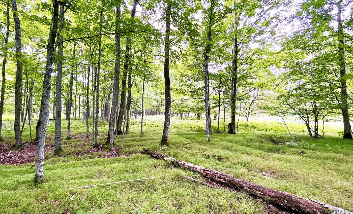1,000-year-old Native American farm discovery upends what scientists previously believed was possible
