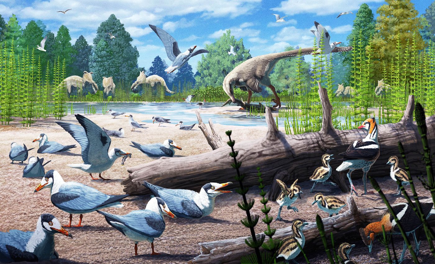 Scientists find proof that birds nested in the Arctic alongside dinosaurs