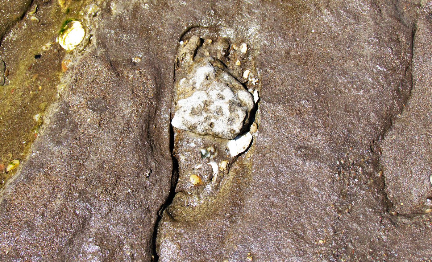 Footprints rewrite the timeline of human arrival in North America