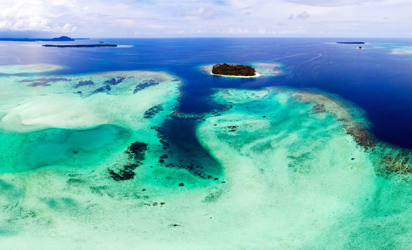 Ocean waters are changing colors and pushing marine life toward the poles