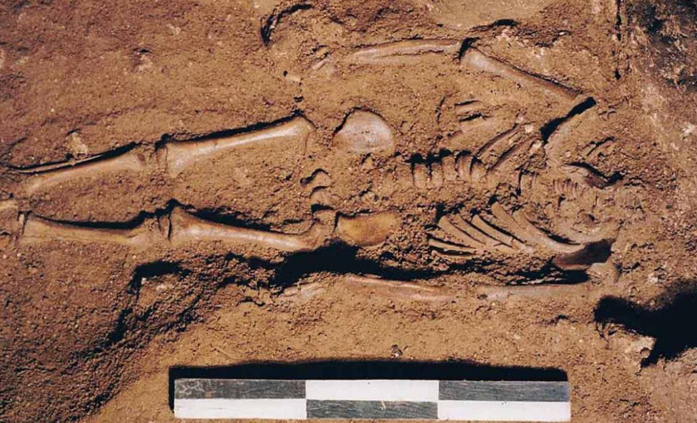 Fossilized remains of a 17,000-year-old baby show first evidence of blue eyes in humans