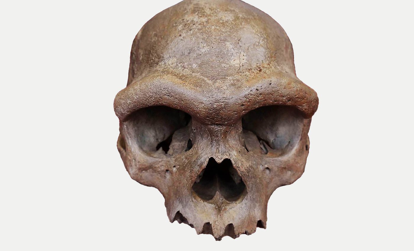 DNA analysis of the "Dragon Man" fossil skull gives an identity to this early human species
