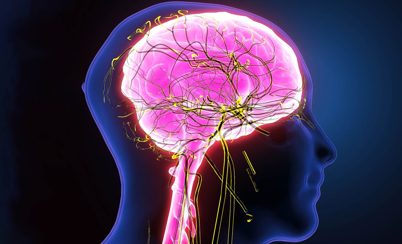 Humans use the same ancient midbrain circuits for both seeing and thinking, says a new study