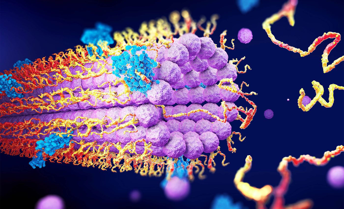 Scientists learn that some genes are like a light switch and turn 'on' or 'off,' nothing in between