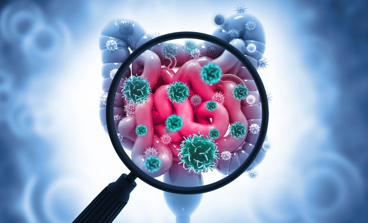 Move over microbiome, it's time for the human gut's "virome" to shine