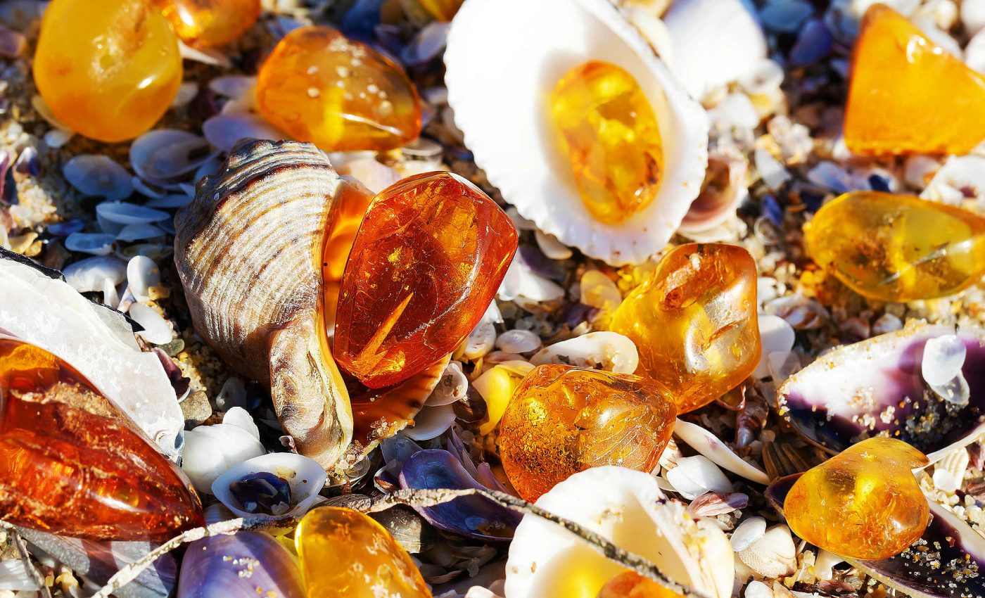 Massive tsunami swept tree resin and amber from an inland forest out into the seabed