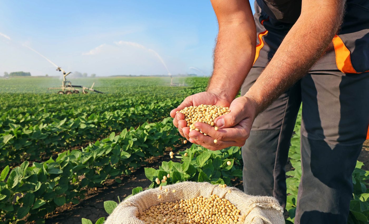 This cheap metal could be the key to growing stronger and healthier crops