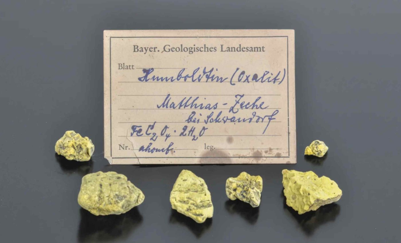 Letter lost for 75 years leads to the accidental discovery of one of Earth's rarest minerals