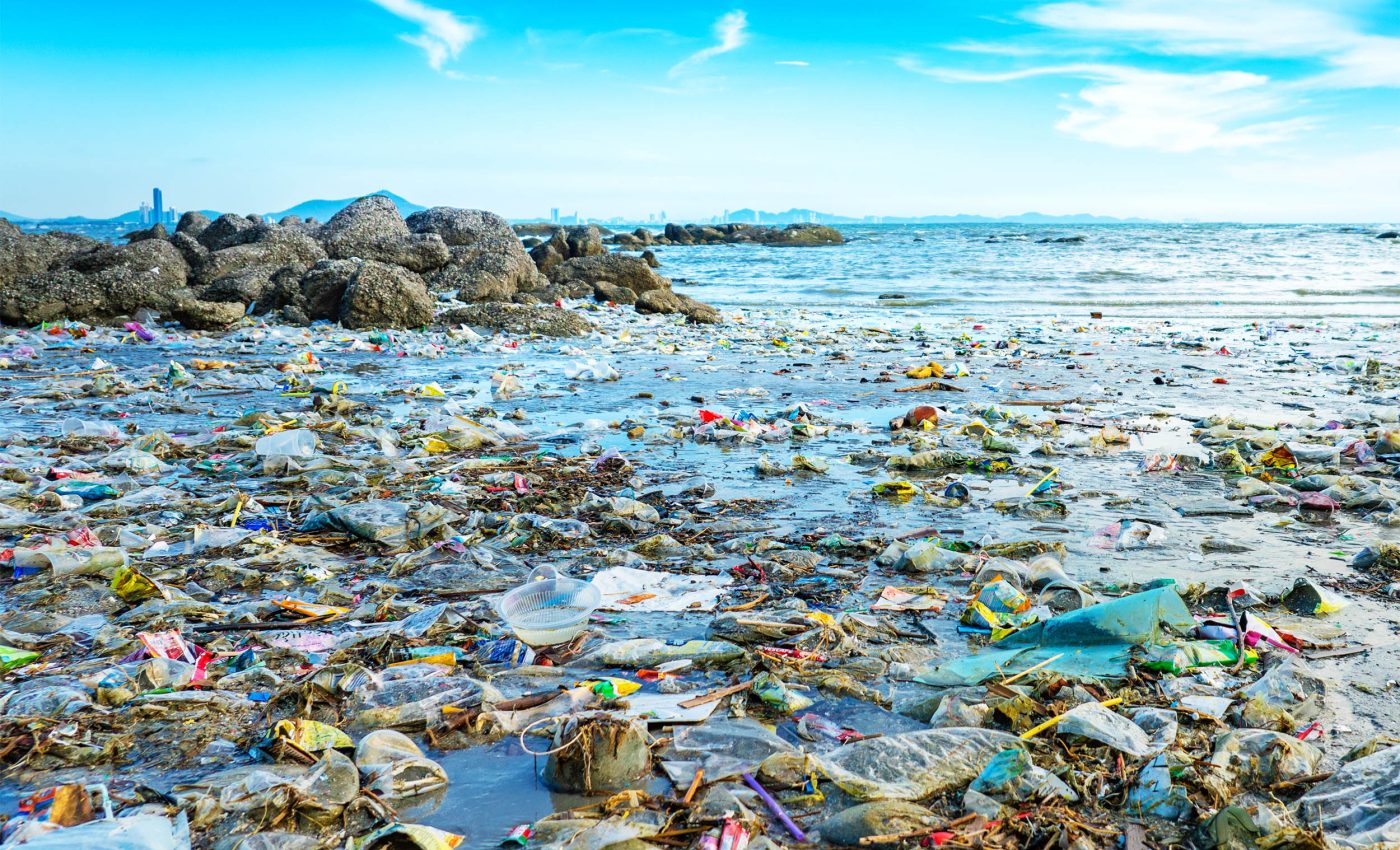 Scientists think their biotech breakthrough could end plastic waste forever