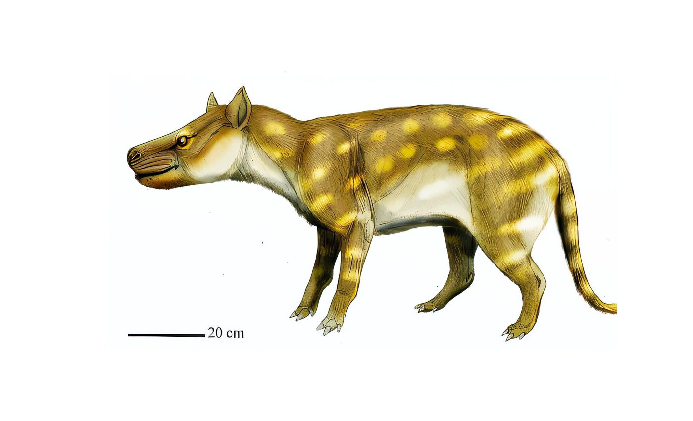 Ancient predator had a gut-wrenching strategy for adapting to climate shock