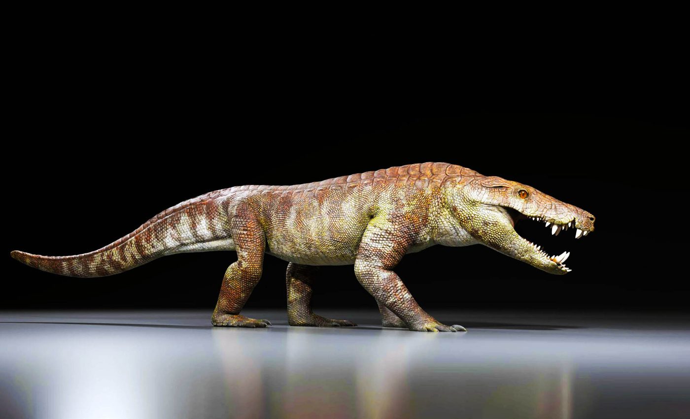 Massive crocodile cousin from 70 million years ago ate dinosaurs and anything else it wanted