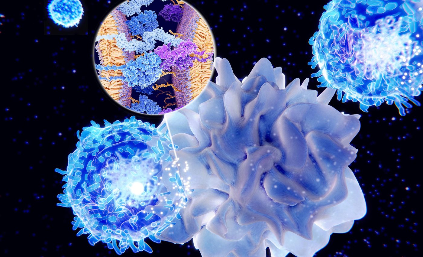 Human immune systems have a 'fountain of youth' and scientists are trying to activate it